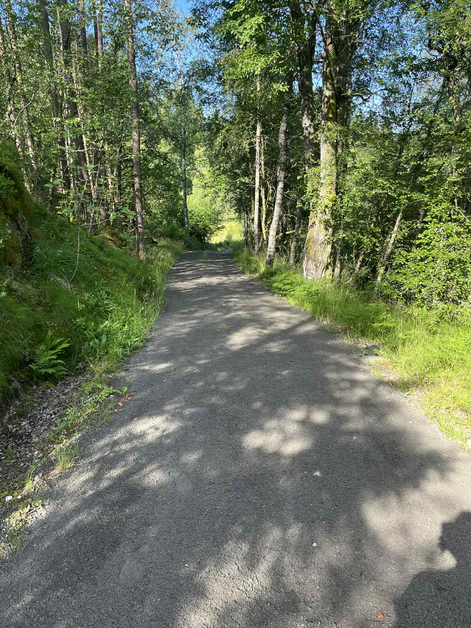 Grusvei før arbeid